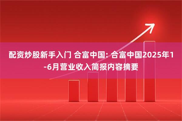 配资炒股新手入门 合富中国: 合富中国2025年1-6月营业收入简报内容摘要